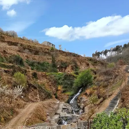 Charming With Pool In Lamego