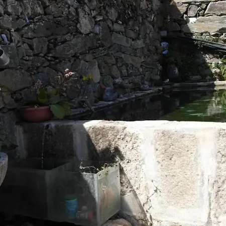 Charming With Pool In Vila *