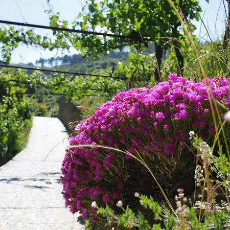 Vila Charming With Pool In *