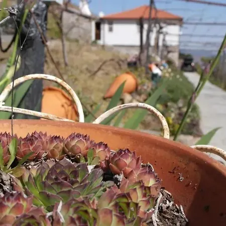 Vila Charming With Pool In Lamego