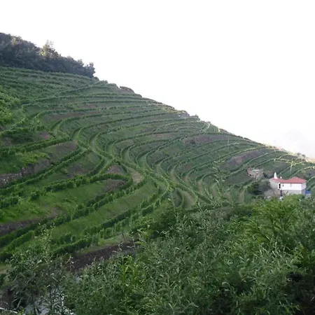 Charming With Pool In *