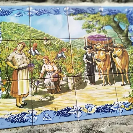 Charming With Pool In Lamego