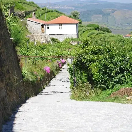 Charming With Pool In * Lamego