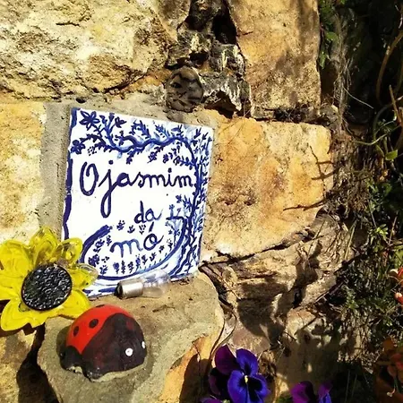 Charming With Pool In