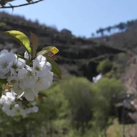 Charming With Pool In Vila