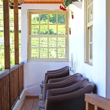 Charming With Pool In Vila Lamego