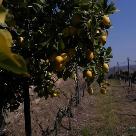 Charming With Pool In