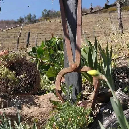 Vila Charming With Pool In *