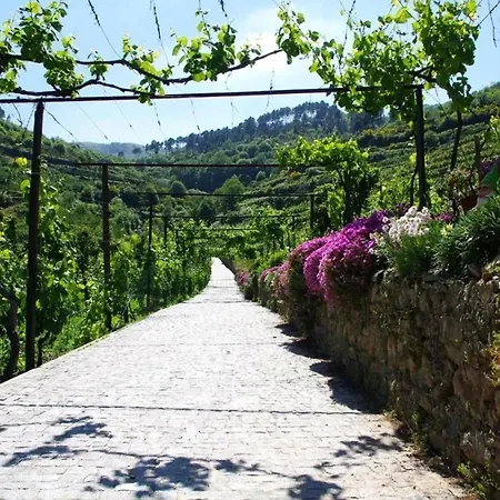 Charming With Pool In Villa Lamego