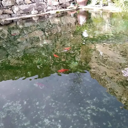 Vila Charming With Pool In Lamego