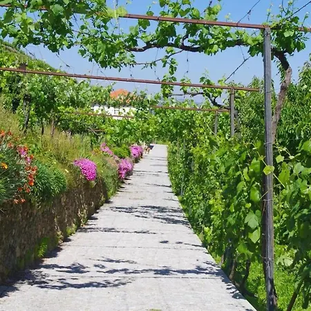 Charming With Pool In Lamego