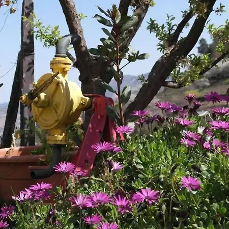 Charming With Pool In * Lamego