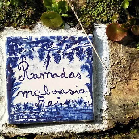 Vila Charming With Pool In