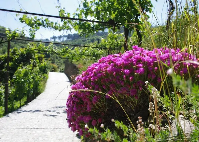 Villa Charming With Pool In *