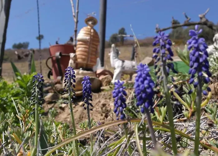 Charming With Pool In Villa Lamego