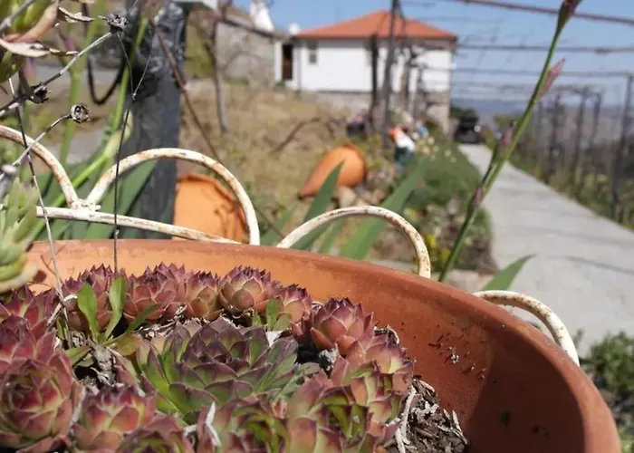 Villa Charming With Pool In Lamego