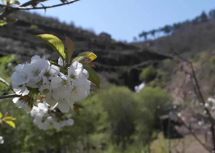 Charming With Pool In Villa