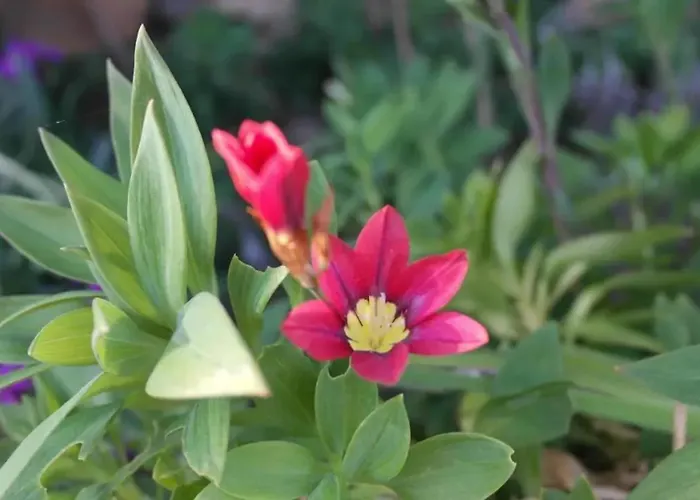 Charming With Pool In Villa *