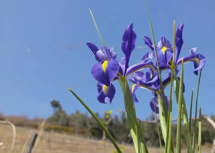 Villa Charming With Pool In Lamego
