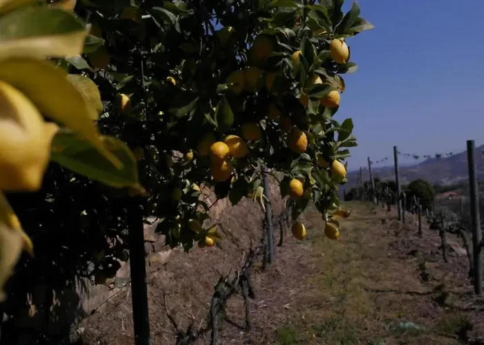 Charming With Pool In