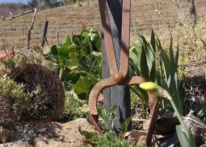 Villa Charming With Pool In *