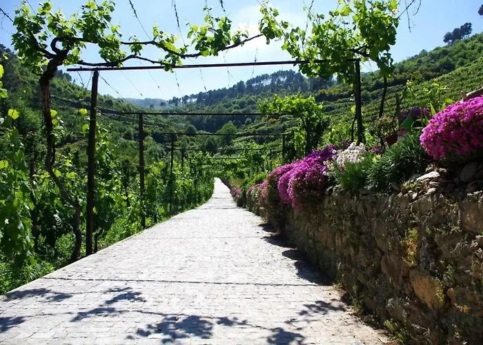 Charming With Pool In Villa Lamego