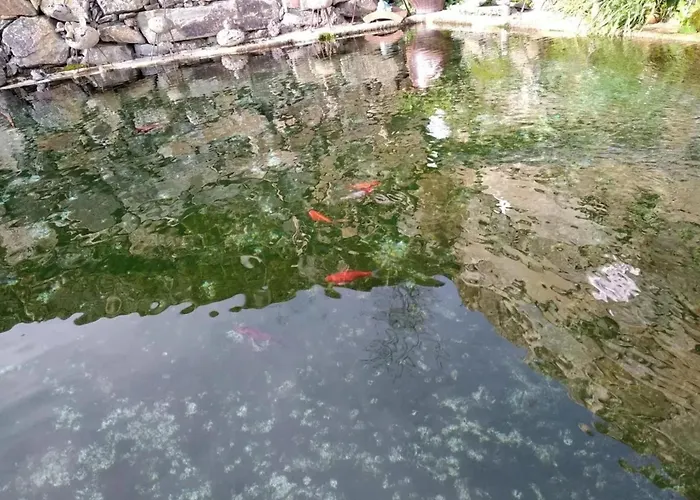 Villa Charming With Pool In Lamego