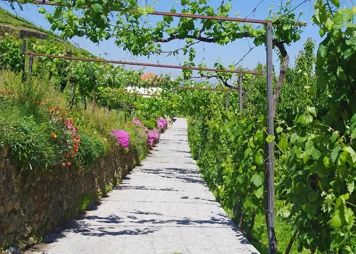 Charming With Pool In Lamego