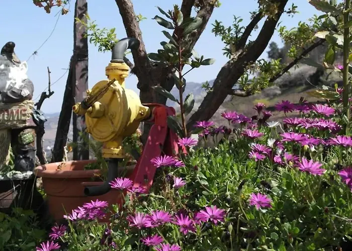 Charming With Pool In * Lamego